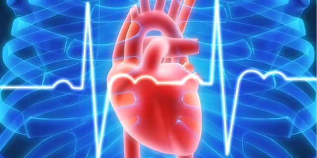 Правительство просят скорректировать порядок профилактики сердечных заболеваний