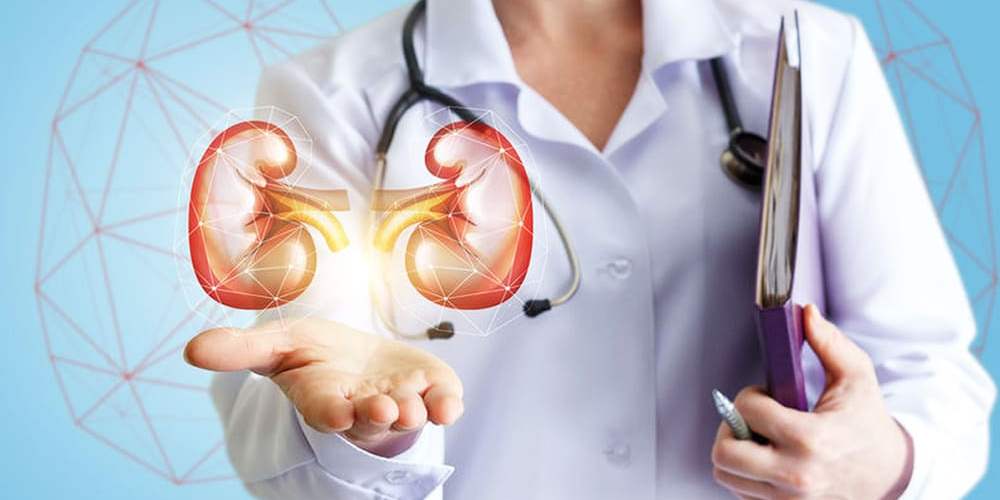 27.09.2024 Почему контроль за почками важен для гипертоников