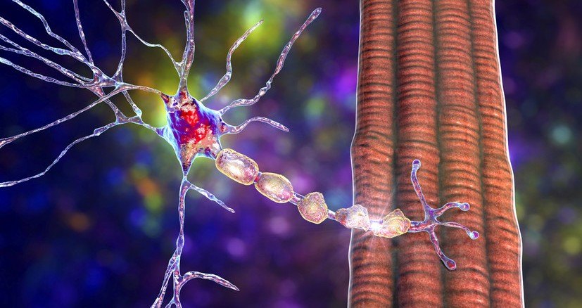 27.05.2022 «Заболевание молодых и очень молодых людей»: эксперт — о симптомах рассеянного склероза