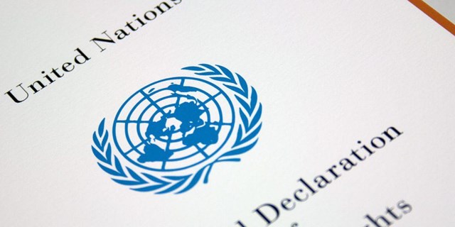 11.11.2016 В штаб-квартире ООН начал работу Комитет НПО по редким заболеваниям