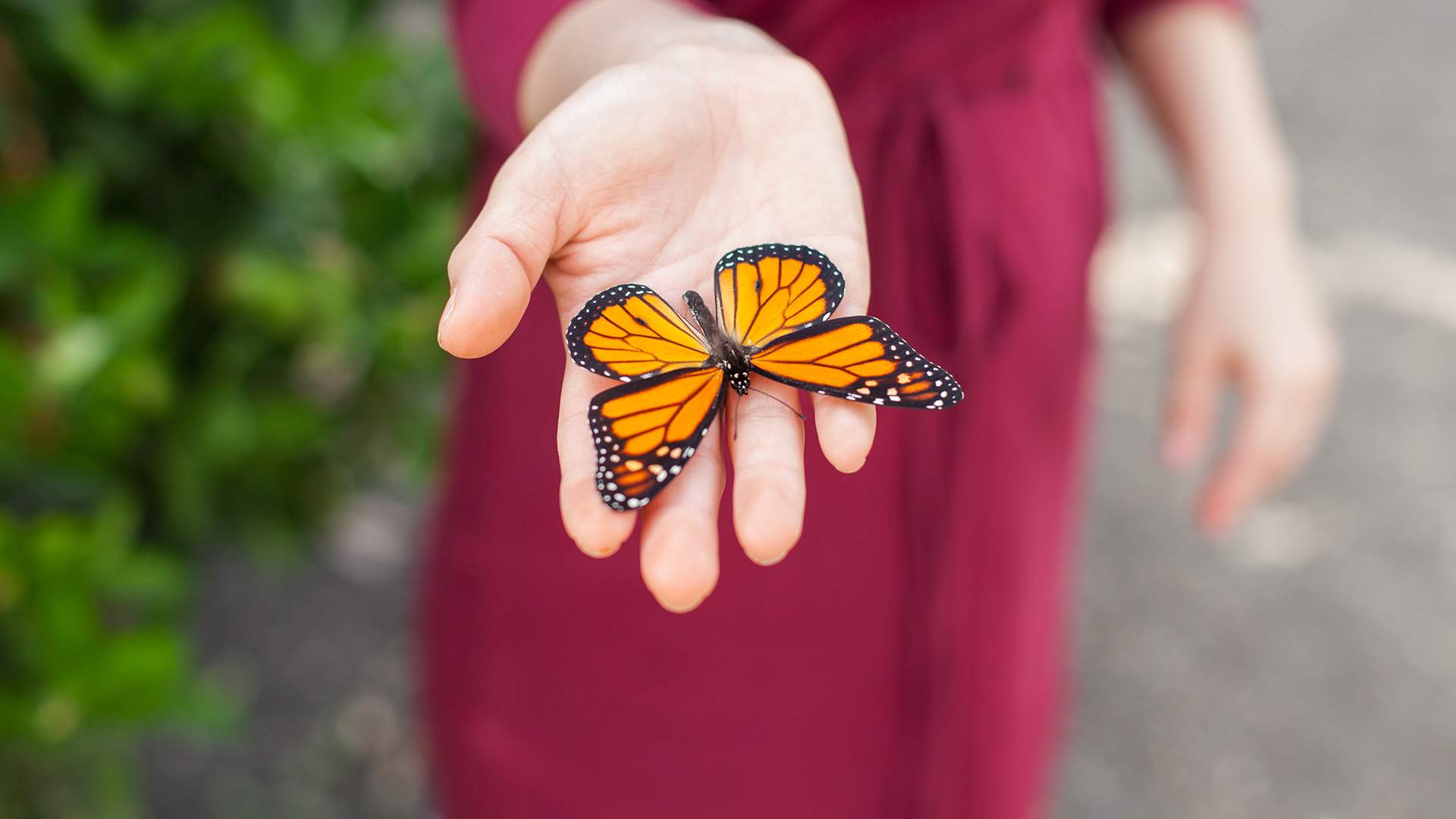 Редких — на вид: Россия стала четвертой в рейтинге помощи орфанным семьям
