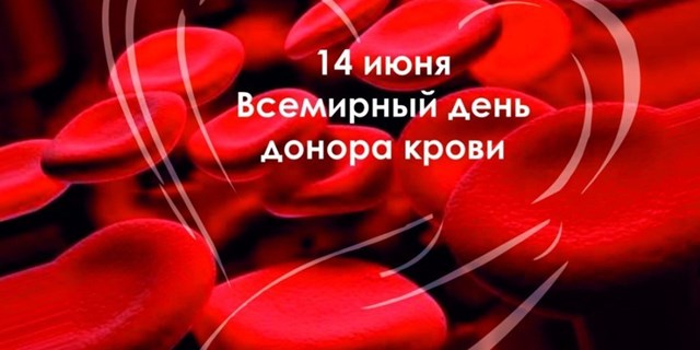 Акция безвозмездного донорства крови: «Река Жизни - 91» завершилась!)