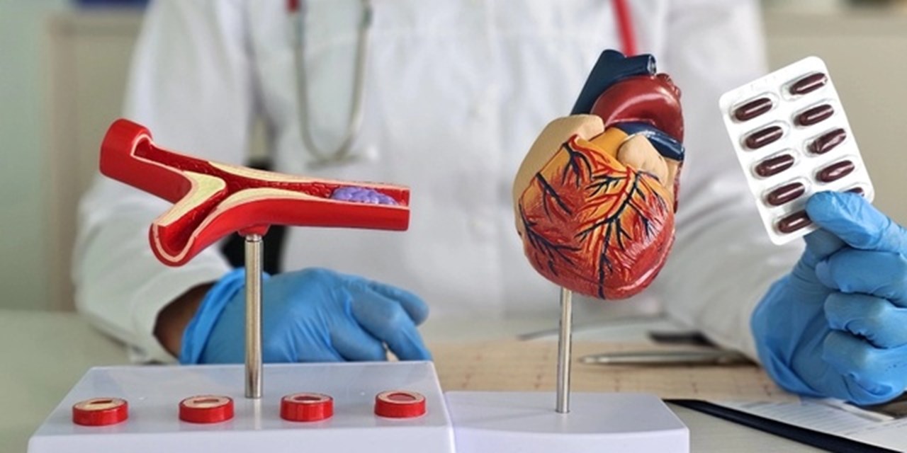 Опасный холестерин: как защитить россиян от инфарктов и инсультов?