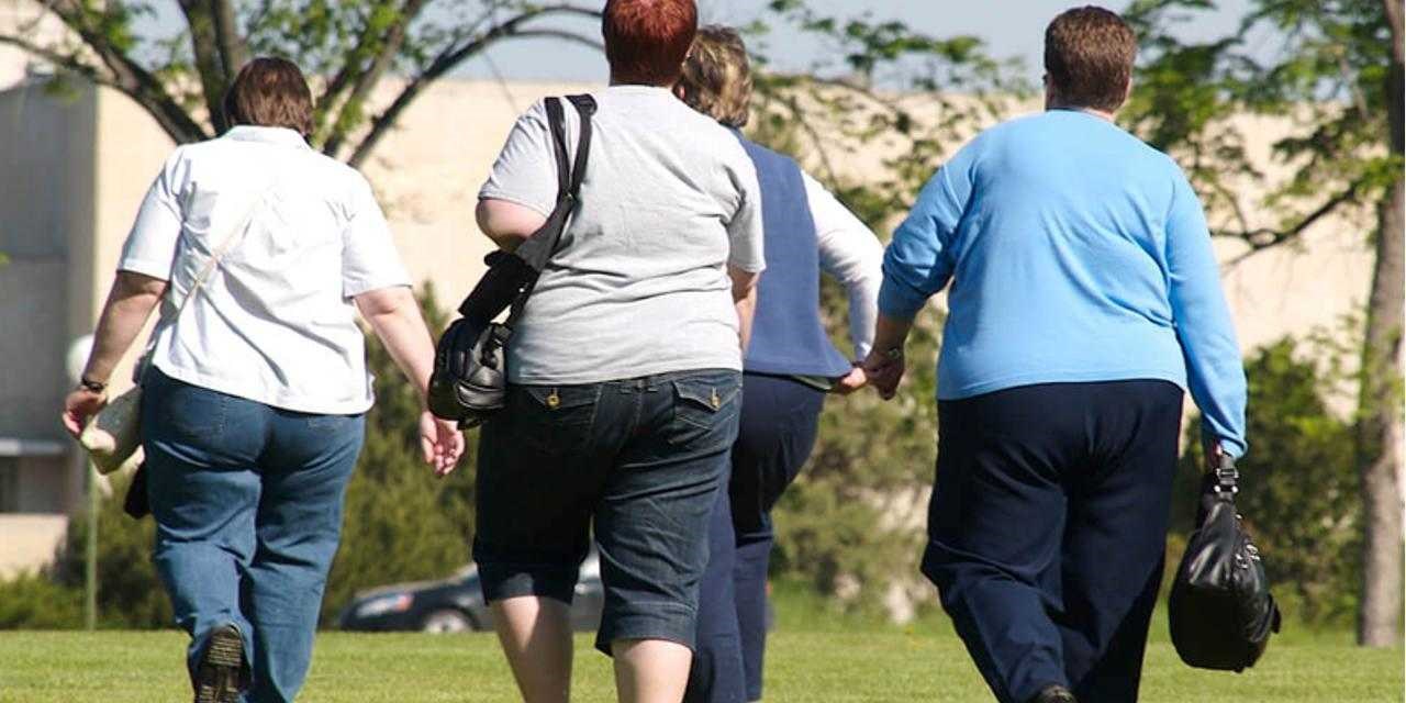 Программы борьбы с ожирением в здравоохранении: обзор мер до 2030 года