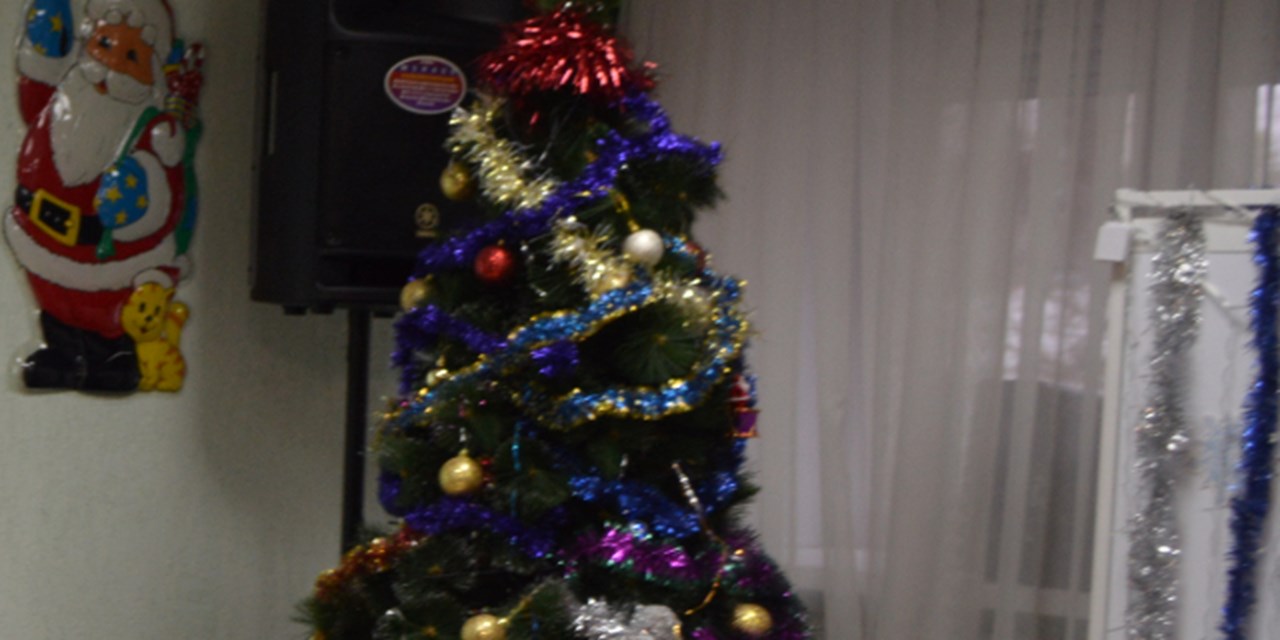 22.12.2023 Самара. Участие в мероприятии «Новогодние огни»