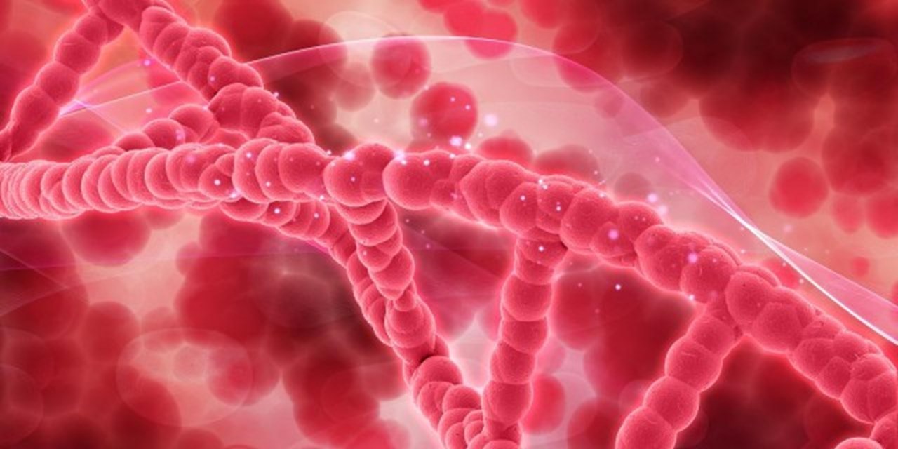 17.04.2023 Терапия будущего: как будут лечить гемофилию