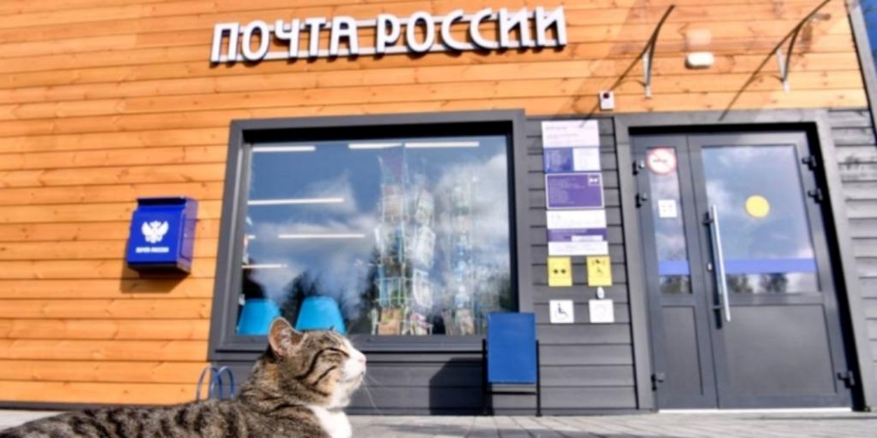 Законопроект о наделении «Почты России» правом на продажу лекарств направлен в правительство